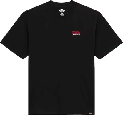 Image de T-shirt Dickies DK0A87QDBLK1-2FW5 pour Homme