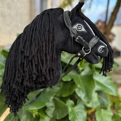Image de Hobby Horse Mystic frison noir avec filet ethologique - Taille A3