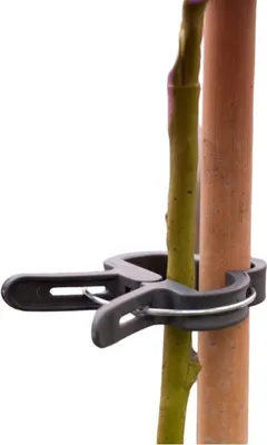 Produktbild von Nature Pflanzenklammer ø24mm, Set mit 10 Stück zur Pflanzenunterstützung