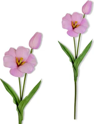 Image de Branche - Tulipe mousseuse violette 53 cm