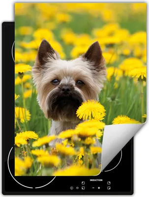 Produktbild von DarHaus Herdabdeckplatte Einteilig Küche Abdeckplatte für Glaskeramikkochfeld Abdeckung Induktionskochfeld Aufrollbare Matte 40x52 cm, Hund - Blumen