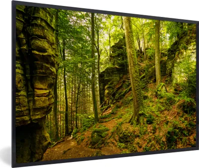 Produktbild von MuchoWow® Gerahmtes Poster Bäume - Stein - Wald - Natur - Pflanzen 60x40 cm - Poster mit Schwarzem Bilderrahmen Wandposter Rahmen Foto Bilder - Printing - Wanddeko Schlafzimmer
