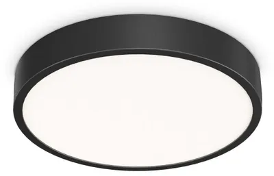 Obrázek produktu pro Moderní stropní světlo Ray Metal Black Led Integrated 26W 3000K Ip44