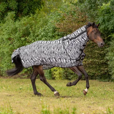 Produktbild von BUSSE Outdoor-Fliegendecke Comfort Flexi Zebra Decke Zebra 165