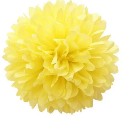 Produktbild von 10 Stück Papier-Pompoms, 25 cm, als Dekoration für Hochzeiten und Geburtstage