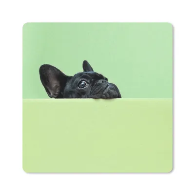 Produktbild von MuchoWow® Mauspad Mousepad Französische Bulldogge - Grün - Schwarz 20x20 cm - Mousepads - Maus Mat - Pad - Mausunterlage - Desk Mat - Bureauartikeln