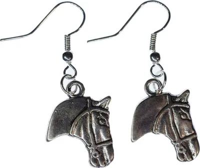 Produktbild von Pferdekopf Ohrringe Ohrring Miniblings Hänger Pferd Cowboy Pferde Metall silber
