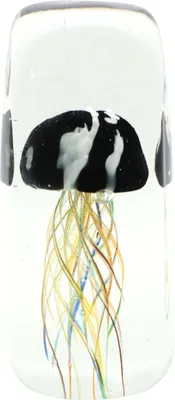 Produktbild von FURNARO Paperweight Mystic Medusa aus Glas, Ø5 x 12 cm