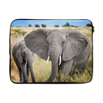 Produktbild von MuchoWow® Laptop Hülle 15 Zoll Elefant - Tiere - Gras - Natur Laptoptasche - Laptoptasche - Sleeve - Rundum-Schutz