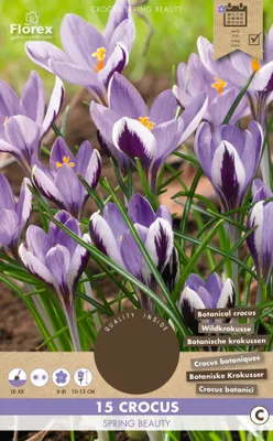 Artikelbild 1 von 'Krokus Spring Beauty (15 Stück)' aus der Kategorie Krokuszwiebeln