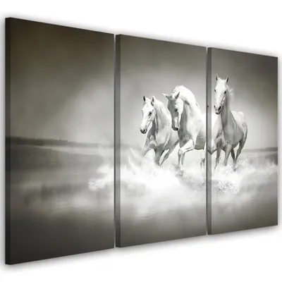 Produktbild von Triptychon auf leinwand tiere - weiß 120x80 cm Feeby weiß wandbild bereit zum aufhängen