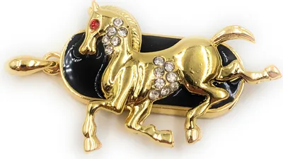 Obrázek produktu pro Onwomania Horse Golden Metal Charm Funny USB Stick 16 GB USB 2.0