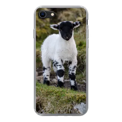 Produktbild von MuchoWow® Handyhülle Schutzhülle Hülle für iPhone SE 2022 Lamm - Schwarz - Weiß - Tupfen Silikon Softcase Handy Hülle - Schutzhülle