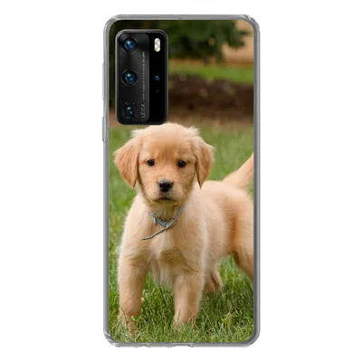 Produktbild von MuchoWow® Handyhülle Schutzhülle Hülle für Huawei P40 Pro Golden Retriever Welpe im grünen Gras Silikon Softcase Handy Hülle - Schutz