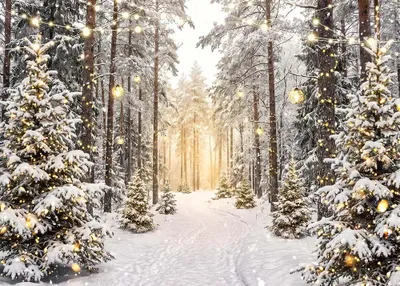 Zdjęcie produktu dla Tło świąteczne, przedstawiające zimową scenerię, o wymiarach 210 x 150 cm, przeznaczone do fotobudek