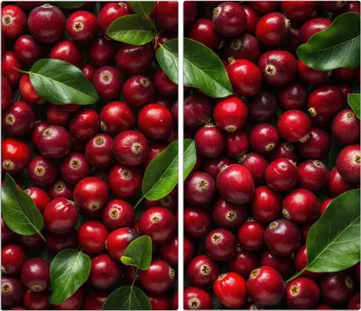 Produktbild von Spritzschutz Herdabdeckplatte Schneidebrett aus Glas Frische Preiselbeeren 2-Teilig (60x52cm)