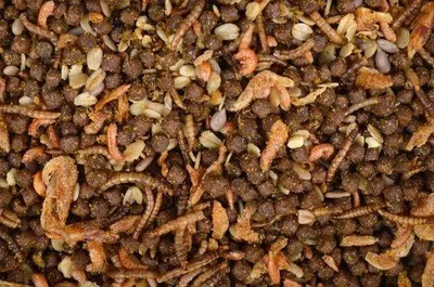 Immagine prodotto di Tweetfeed, cibo per ricci con insetti – 2,5 litri – 1,5 kg