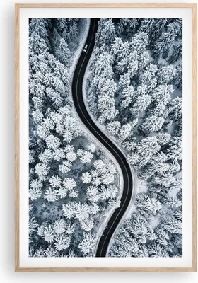 Produktbild von Gerahmtes Poster - Rahmen in heller Eiche - Wald Winter Straße - 61x91,5 cm - Wand Bild - Wanddeko - Wandbilder - Kunstposter - Wandposter - Bilderrahmen - Bilder - Kunstdruck - P2NPA61x91-5010