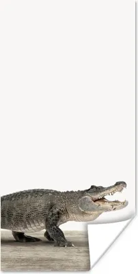 Produktbild von MuchoWow® Poster Kinder - Krokodil - Junge - Kinder - Mädchen 20x40 cm - Plakat - Foto