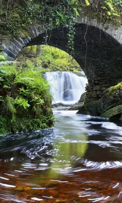 Produktbild von Fototapete - Ireland 150x250cm - Vliestapete