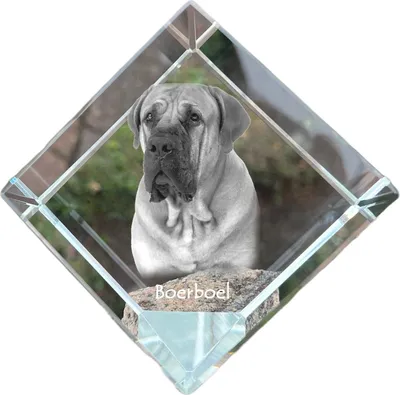 Immagine prodotto di Boerboel dado di cristallo con cane Art-Dog