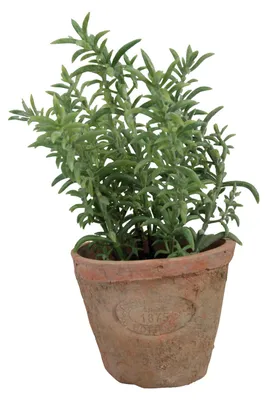 Image de Thym artificiel en pot - D 9,7 cm x H 16,1 cm