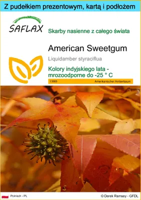 Zdjęcie produktu dla SAFLAX - Zestaw prezentowy - American Sweetgum - 100 Nasiona - Z pudełkiem upominkowym, etykietą wysyłkową, kartą podarunkową i podłożem uprawowym - Liquidamber styraciflua