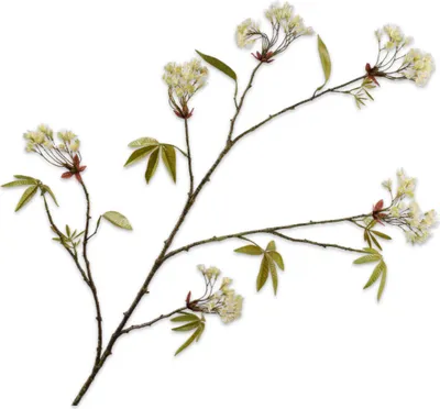 Productafbeelding van Silk-ka Kunstbloem – Zijden bloemen, esdoorn tak, crèmekleurig, 110 cm