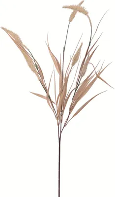 Produktbild von Fink GRAS, Kunstblume, Kunstfasern, creme, L. 1 cm, B. 1 cm, H. 65 cm 185011