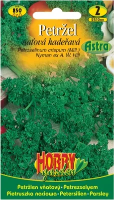 Obrázok produktu pre Petržlen ASTRA
