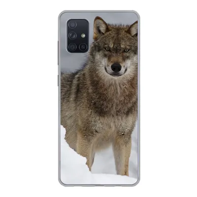Produktbild von MuchoWow® Handyhülle Schutzhülle Hülle für Samsung Galaxy A71 Wolf - Schnee - Tiere Silikon Softcase Handy Hülle - Kartenbesitzer