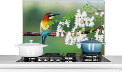 Produktbild von KitchenYeah®  Spritzschutz Küche - Küchenrückwand - Wandschutz für Herd und Spüle - Vogel - Bienenfresser - Blumen 80x55 - Alu-Dibond (Alternative zum Spritzschutz aus Glas) - Hitzebeständig - Herdspr
