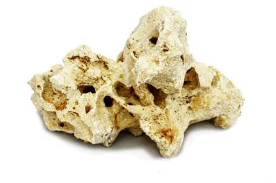 Immagine prodotto di Sansibar Rock, taglia M, 13-17 cm