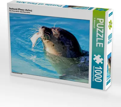 Produktbild von Calvendo Seehund (Phoca vitulina) 1000 Teile Puzzle quer 640x480mm, Mielewczyk B.; 7433730
