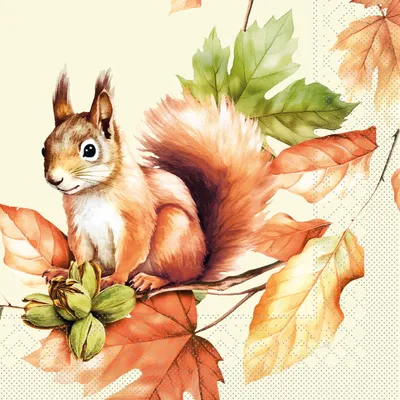 Produktbild von Tissue Serviette Skippy, 40 x 40 cm, 3-lagig, 100 Stück - Mank - Eichhörnchen