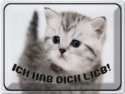 Produktbild von vianmo Blechschild 30x40 cm Katze ich hab dich lieb