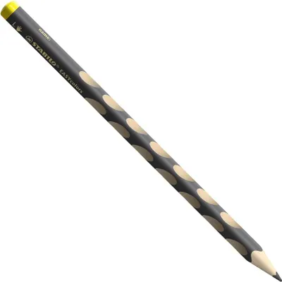 Obrázek produktu pro STABILO EASYcolors L, Šedá, 1 kusů