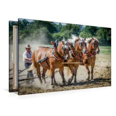 Produktbild von Calvendo  Textil-Leinwand 120 cm x 80 cm quer Feldarbeit zu Pferde, Gaymard Alain; 7372399
