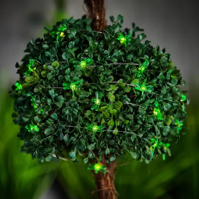 Productafbeelding van Zonnepaneel-LED-lichtketting – Libelle – 2,4 meter – 25 LED's – warm wit – 1 stuk [58220E], AI-gegenereerde afbeelding