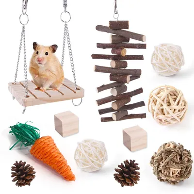 Produktbild von Hamsterspielzeug, das Hamstern, Rennmäusen und anderen Kleintieren zum Kauen und Spielen dient, regt sie zum Zähneknirschen an.