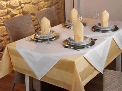Productafbeelding van Set van 12 Katoenen Servetten 50 x 50 cm met Atlasrand