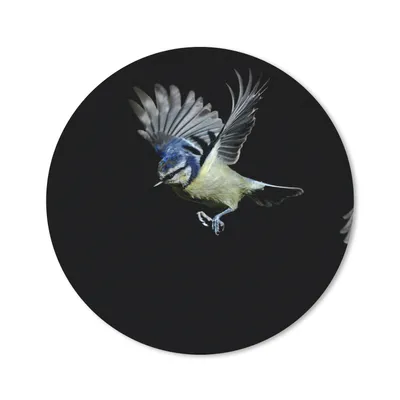 Produktbild von MuchoWow® Mauspad Mousepad Vögel - Federn - Schwarz 20x20 cm - Mousepads - Maus Mat - Pad - Mausunterlage - Schreibtischmatte