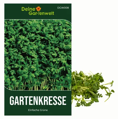 Produktbild von Gartenkresse Einfache Grüne Samen - Lepidium sativum - Gartenkressesamen - Kräutersamen - Saatgut für 1.000 Pflanzen