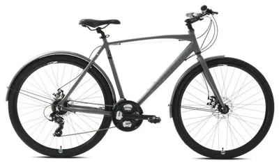 Productafbeelding van Stadsfiets Capriolo URBAN TOUR, 28"/22", grijs