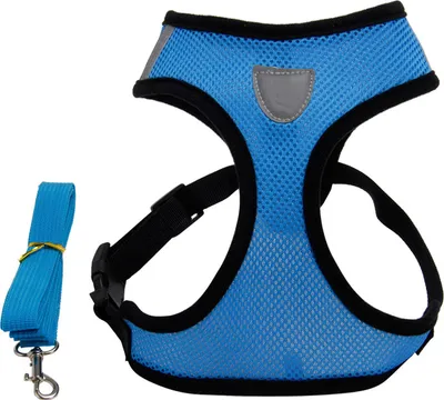 Immagine prodotto di Pettorina per cani con guinzaglio, in tessuto a rete, regolabile, morbida, traspirante, gilet per animali domestici per l'addestramento all'aperto e la corsa, blu, M