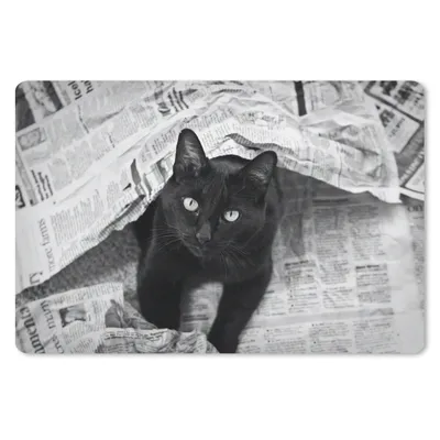 Produktbild von MuchoWow® Schreibtischunterlage Schwarze Katze zwischen den Zeitungen 60x40 cm - XXL Mauspad - Großes Mauspad