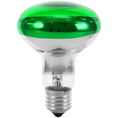 Immagine prodotto di Omnilux R80 230V/60W E-27, verde