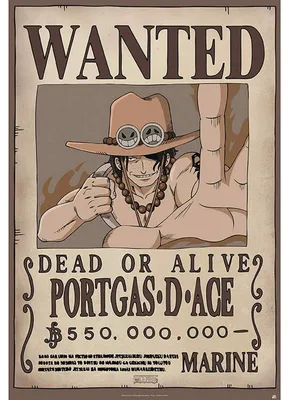 One Piece Wanted Ace Maxi Poster 61 x 91,5 cm