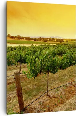 Produktbild von Bild auf Leinwand - Leinwandbild - Einteilig - Landschaft Weinberg Sonnenuntergang - 70x100cm - Wand Bild - Wandbilder - Leinwanddruck - Wanddekoration - Leinwand bilder - Wandbild - PA70x100-0116
