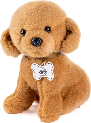 Produktbild von Hündin Pudel Lucy 40cm - Beige